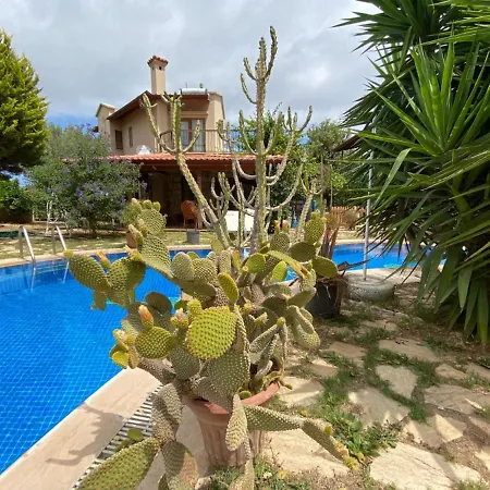 With Pool And View Near Old Town In Villa *